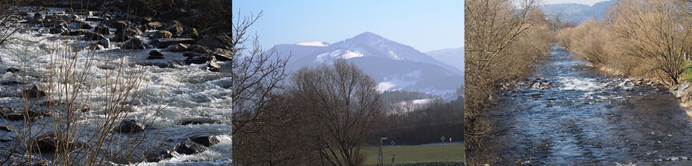 Der andere Freiburgkalender