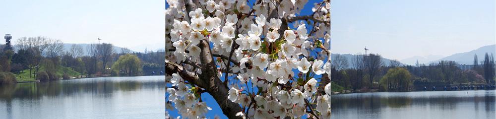 Der andere Freiburgkalender