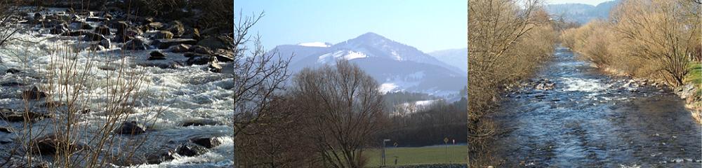 Der andere Freiburgkalender