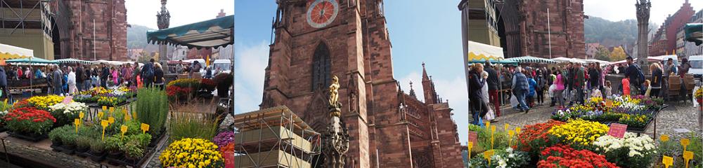 Der andere Freiburgkalender