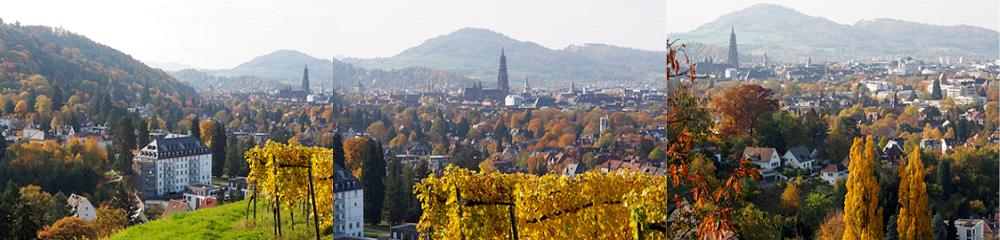 Der andere Freiburgkalender